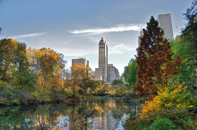 The 3-Year Revocation Rule: What NY Real Estate Students Must Know Before Licensing